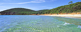 Cala Violina - Dintorni di Follonica